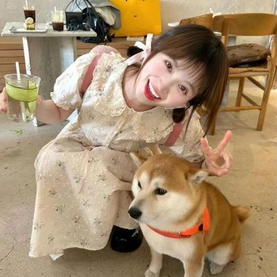 打卡猎人
